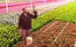 Afbeelding van Persbericht: Horticoop investeert in REKA