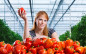 Afbeelding van Coming soon: verhandelbaarheid participaties