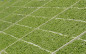 Afbeelding van Het is zover! Je kunt Horticoops participaties verhandelen t/m 22 juli 2025